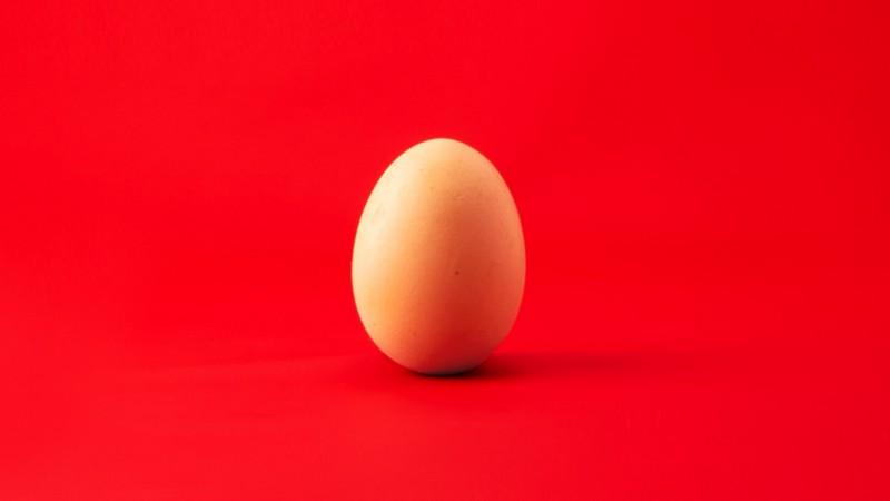 An egg in front of a red background