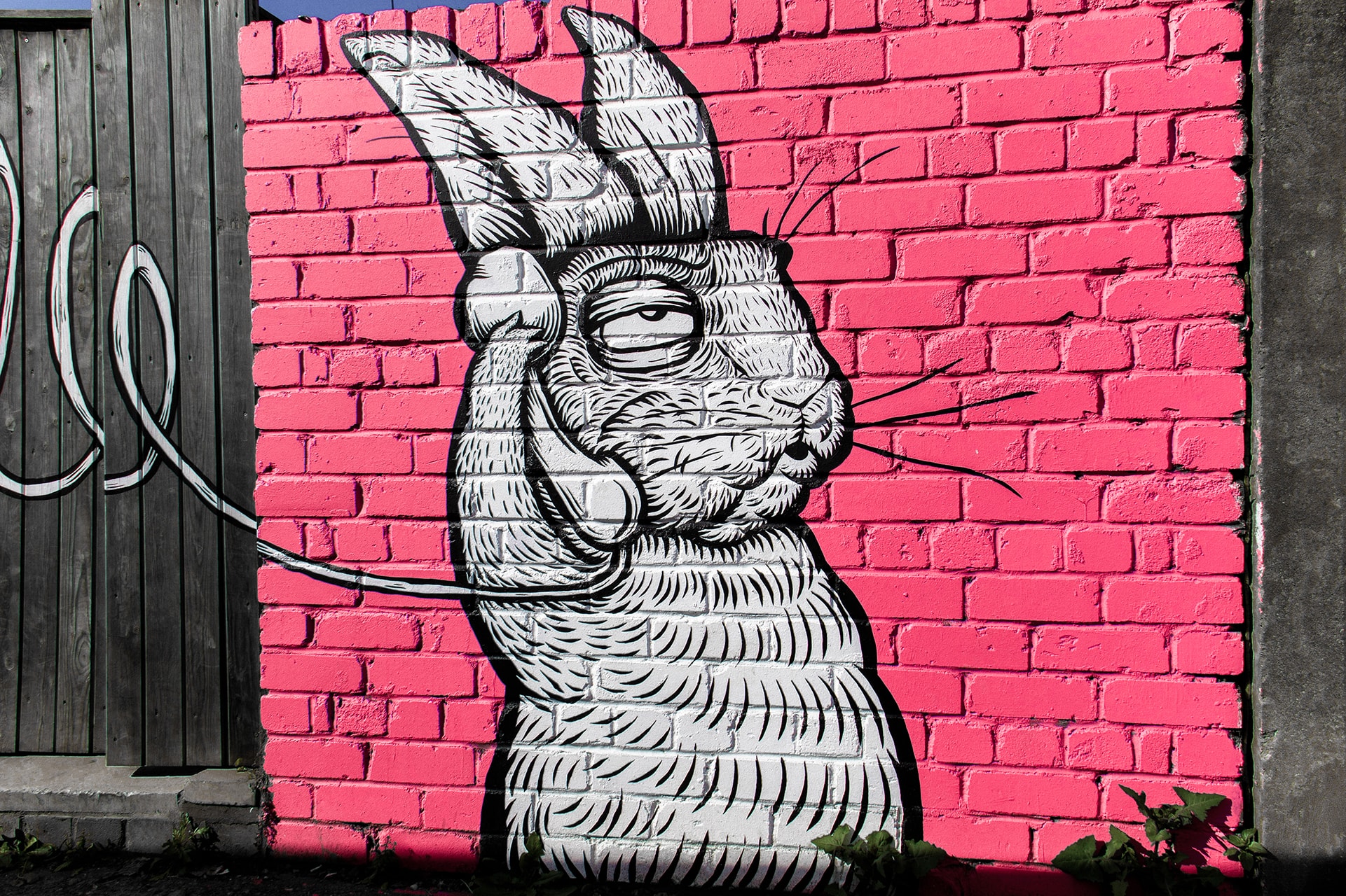 Wall art of a rabbit talking on the phone in front of a pink wall | Photo by Nick Fewings on Unsplash
