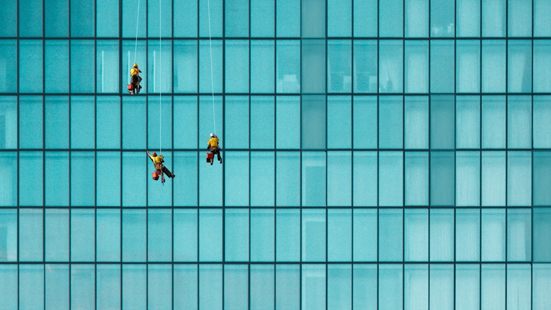 Workers cleaning a building from outside