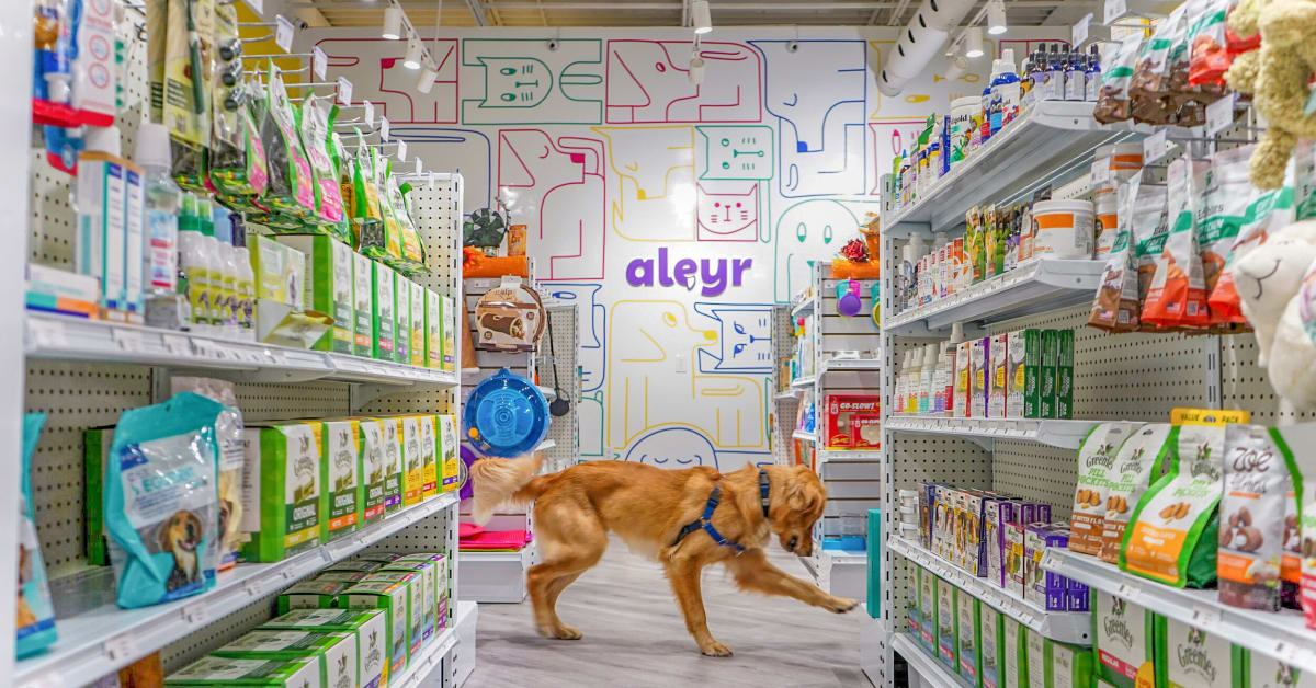 Aleyr — Work Slangbusters